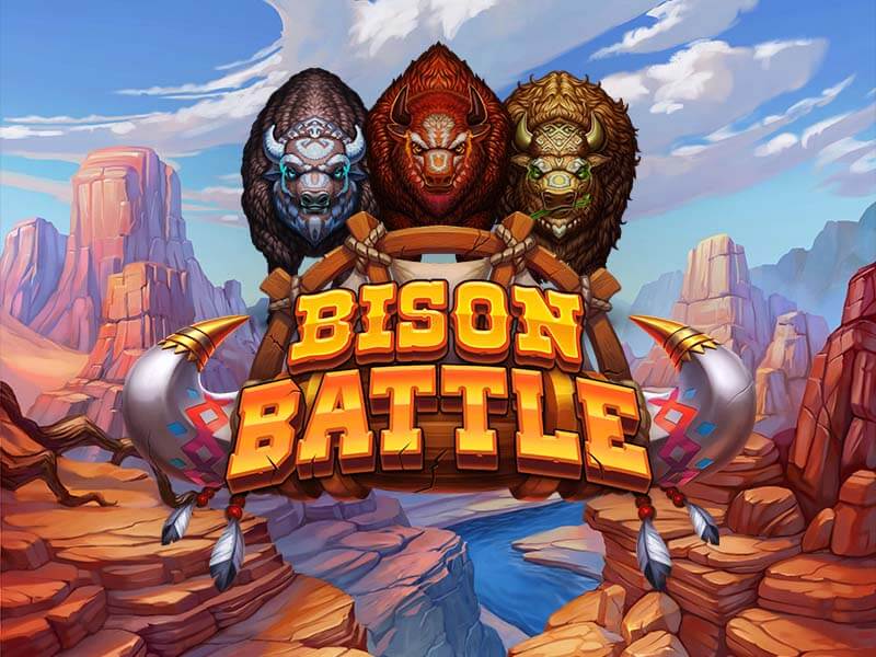 Bison Battle