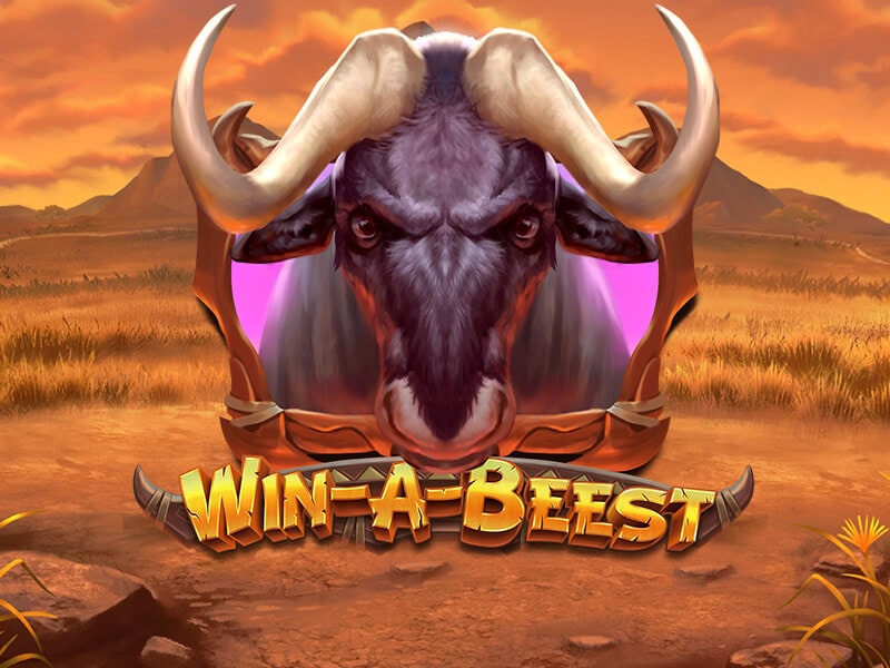 Win A Beest