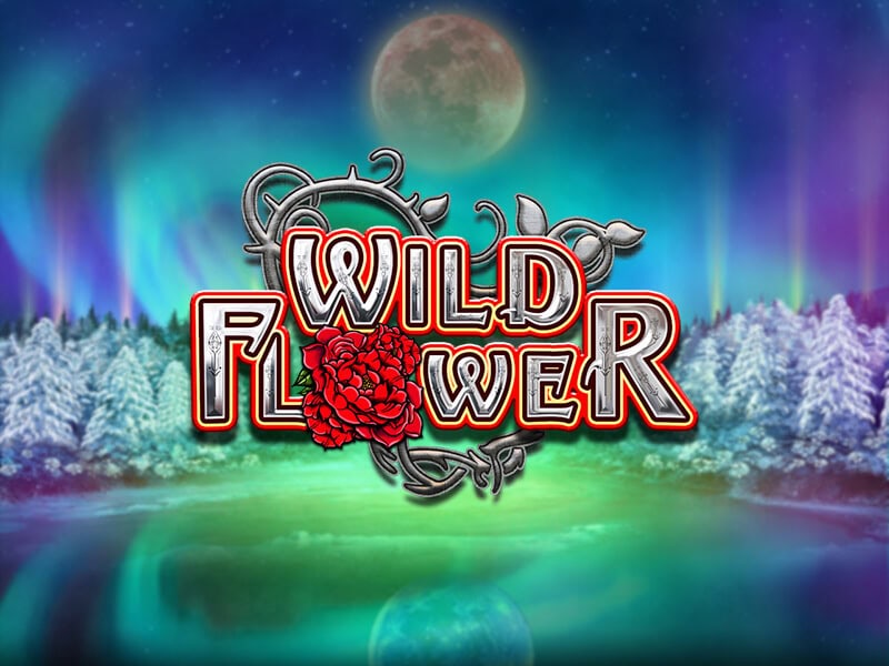 Wild Flower