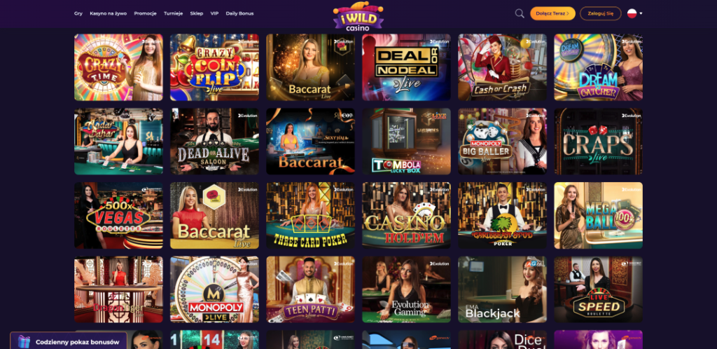 iWild Casino 3